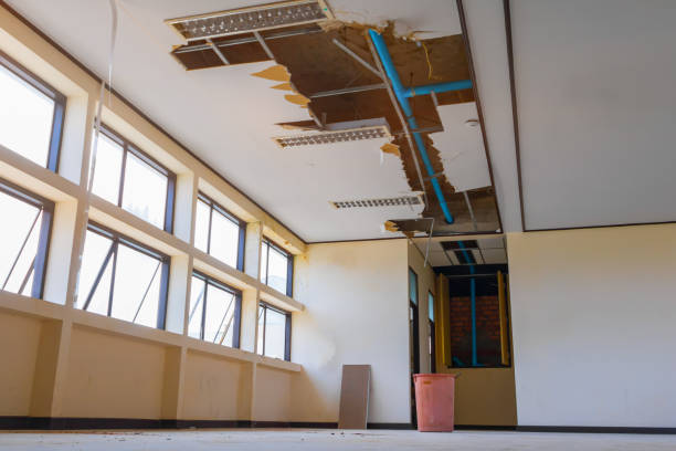 Best Local water damage restoration  in Buckhannon, WV