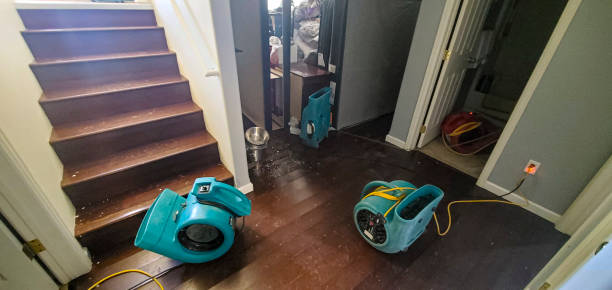 Reliable Buckhannon, WV Water damage restoration Solutions