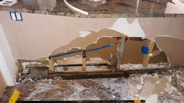 Best 24-hour water damage restoration  in Buckhannon, WV