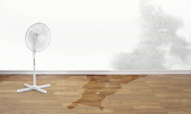 Best Emergency water damage restoration  in Buckhannon, WV