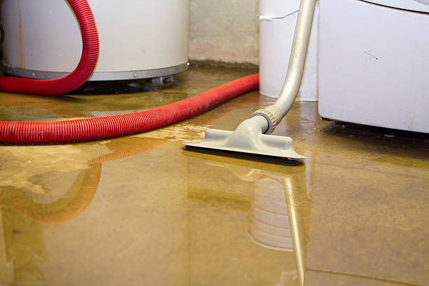 Best Water damage restoration mold remediation  in Buckhannon, WV