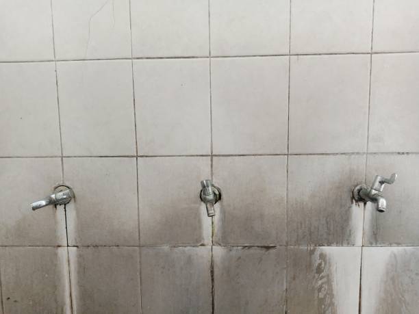 Best Water damage restoration specialists  in Buckhannon, WV