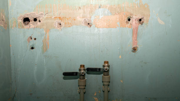Best Sewage cleanup and water damage restoration  in Buckhannon, WV