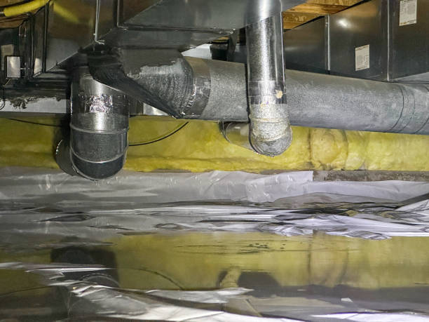 Best Water damage restoration near me  in Buckhannon, WV
