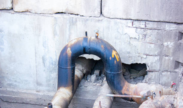 Best 24/7 water damage repair  in Buckhannon, WV