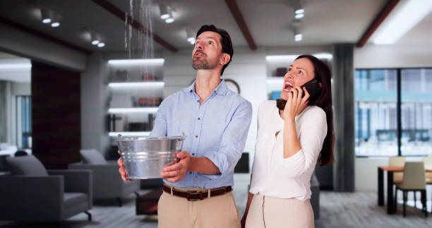 Best Water damage contractors near me  in Buckhannon, WV