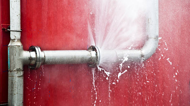 Best Commercial water damage restoration  in Buckhannon, WV