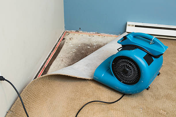 Carpet water damage restoration in Buckhannon, WV